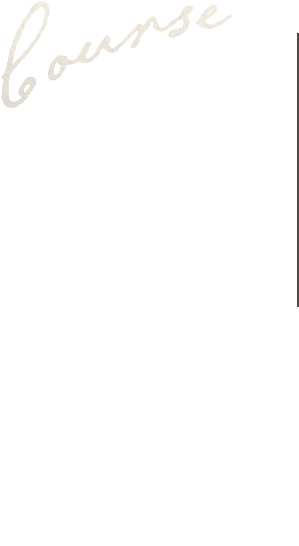 ご予約いただければコースでも